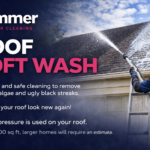 2 story Roof Cleaning